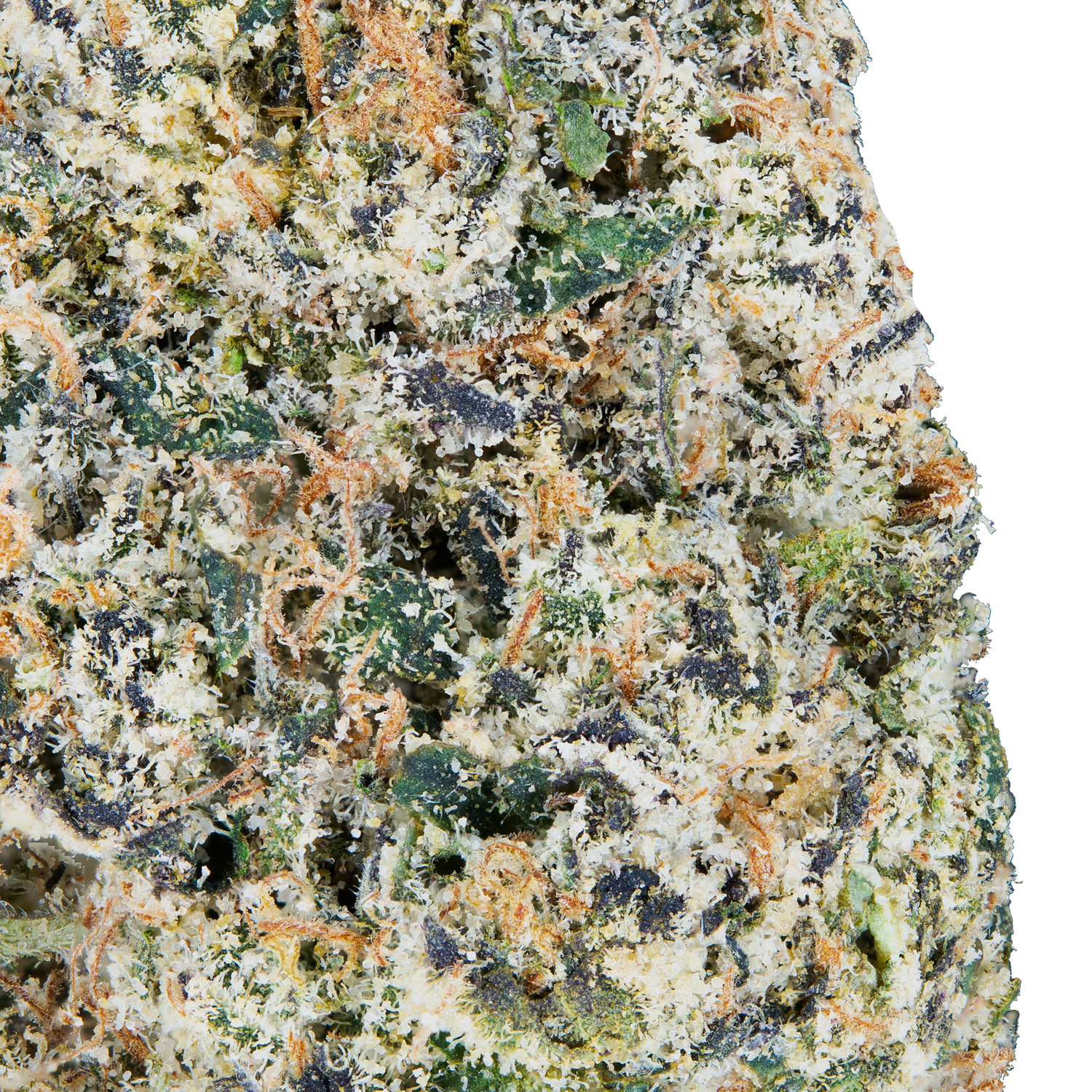 Sour Diesel - THCa Flower