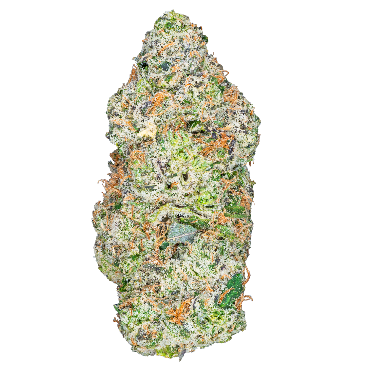Gelato 45 – THCa Flower
