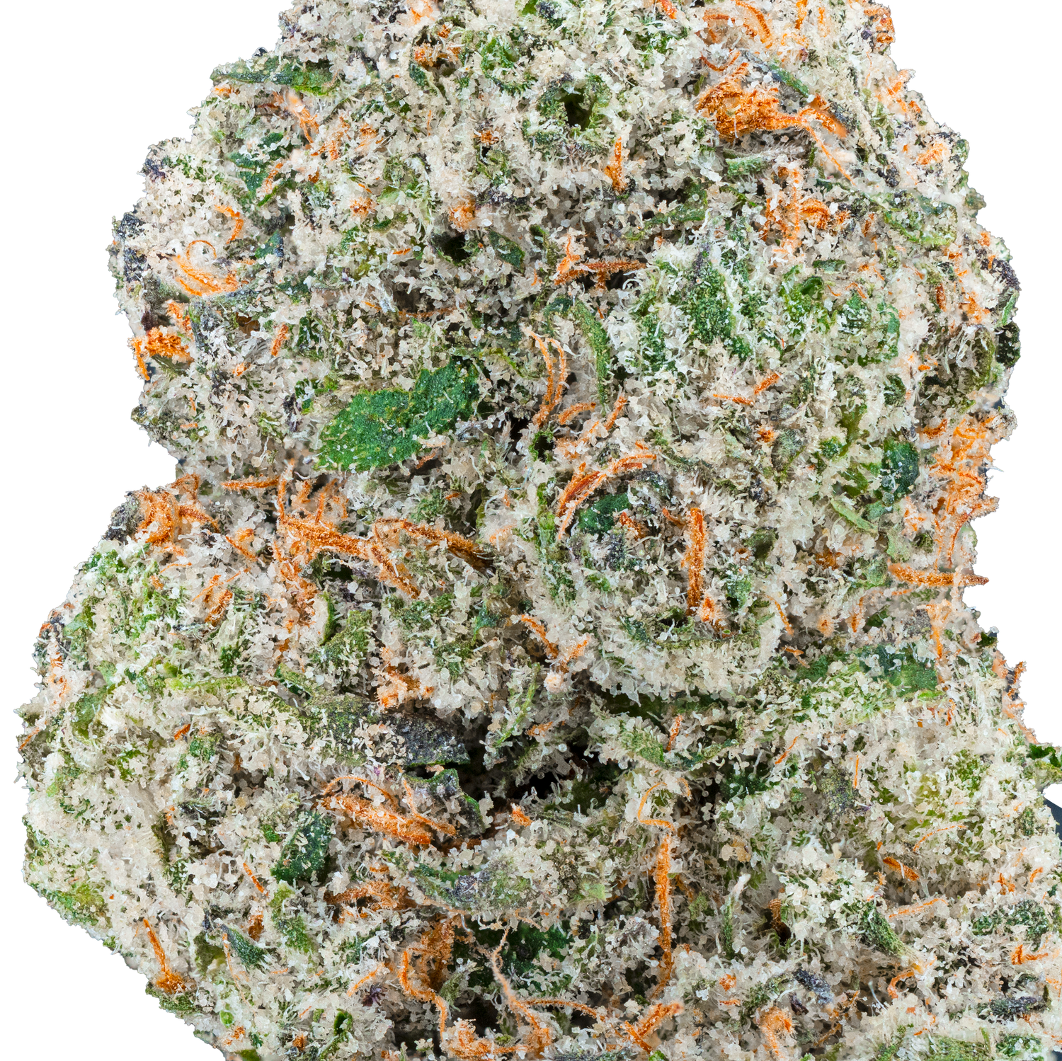 Black Cherry Gelato - THCa Flower