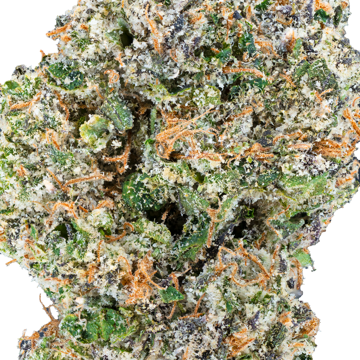 Apple Fritter – THCa Flower