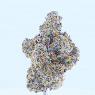 Talk To Me – Top Shelf Flower