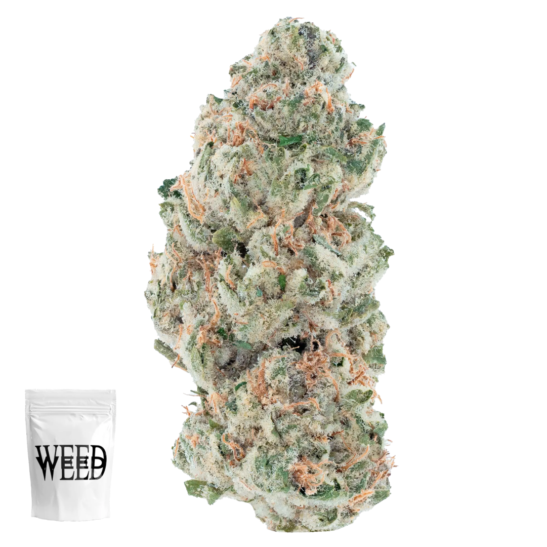 Indoor Flower
