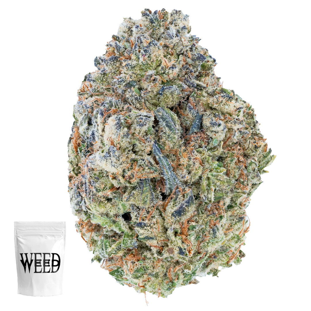 Indoor Flower