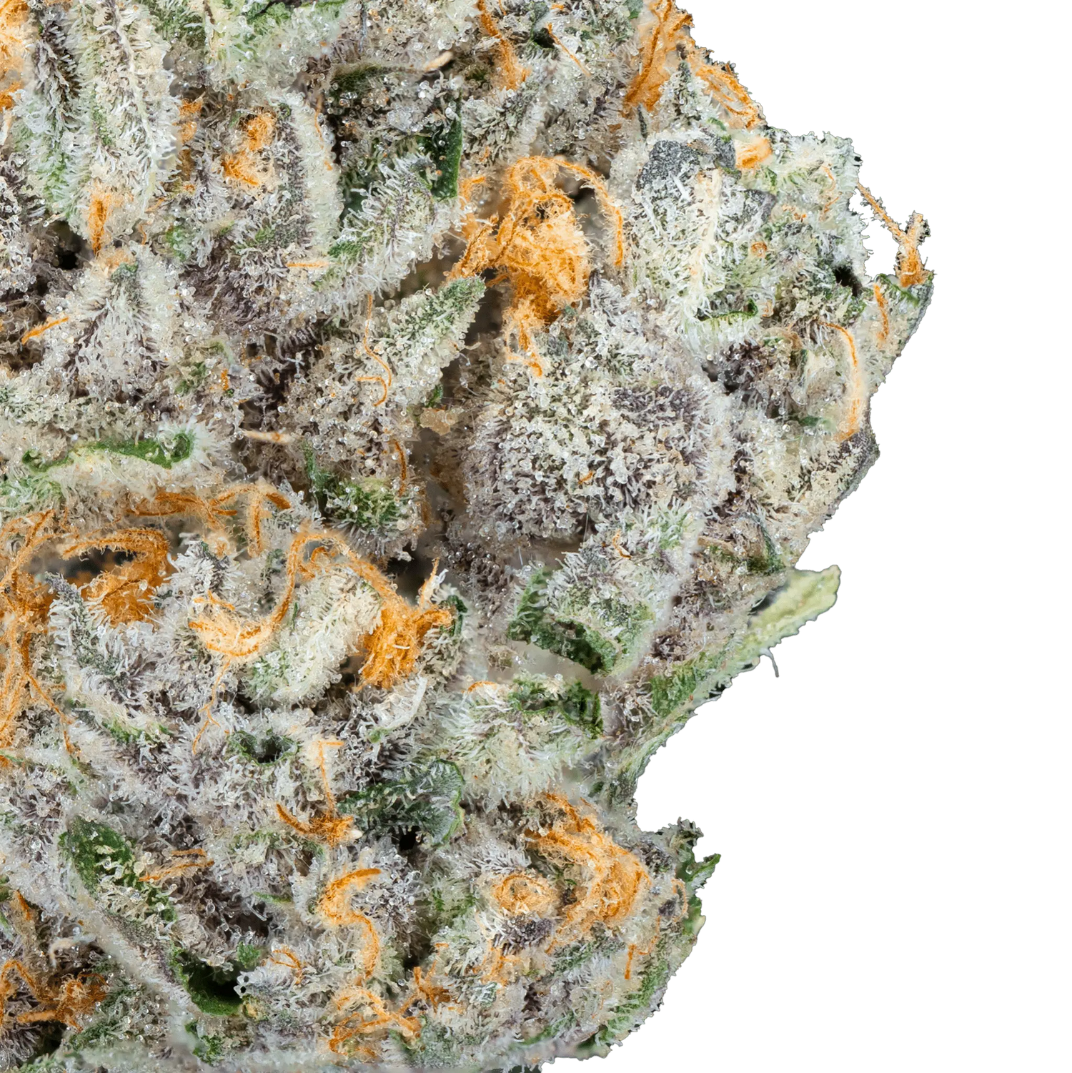 Guapo – Top Shelf Flower