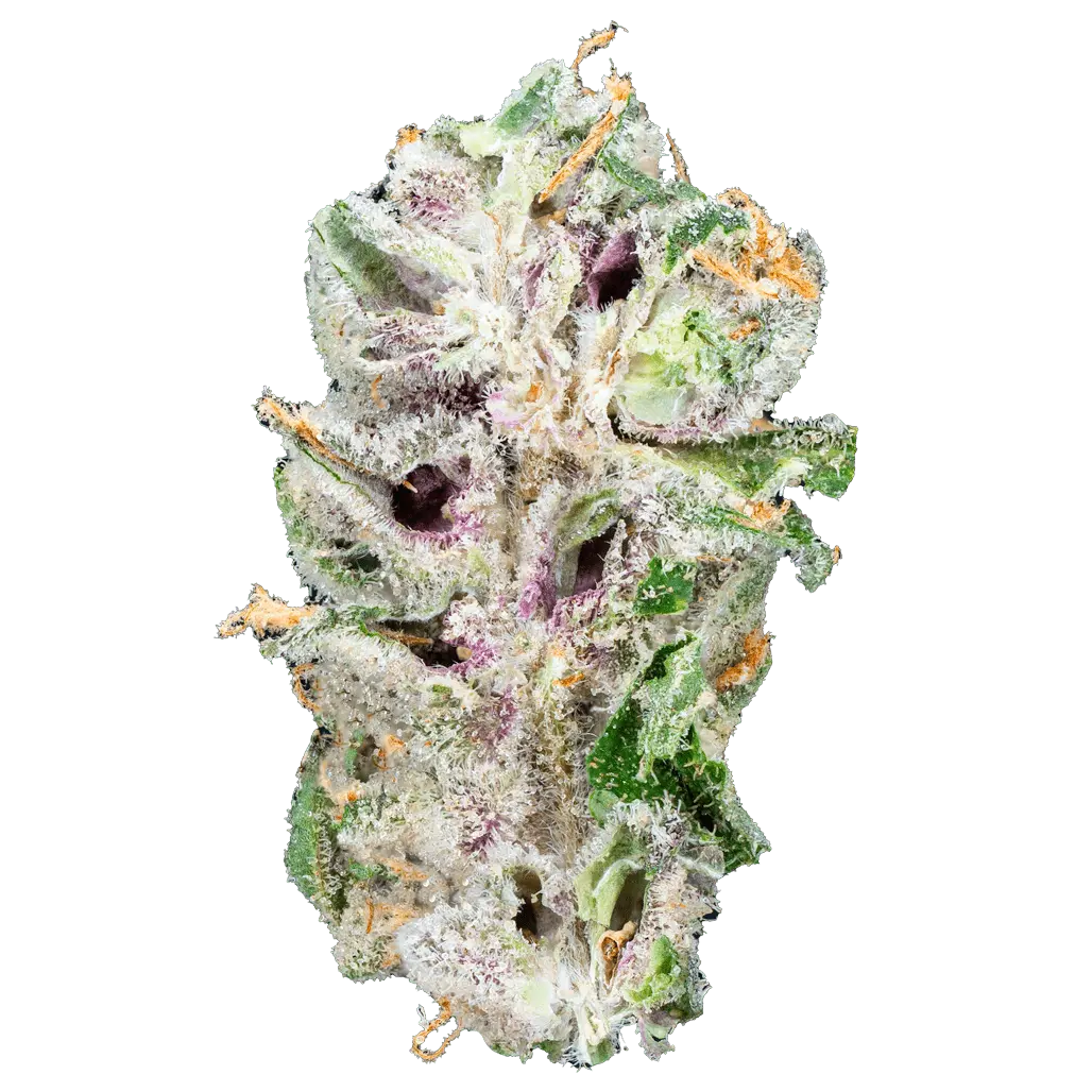 Guapo – Top Shelf Flower