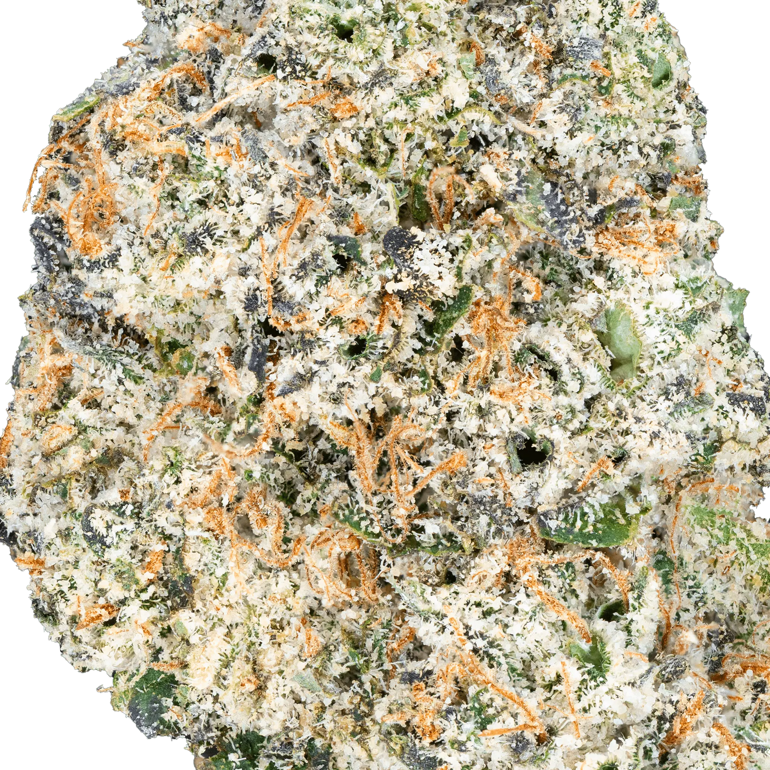 Berto – Top Shelf Flower
