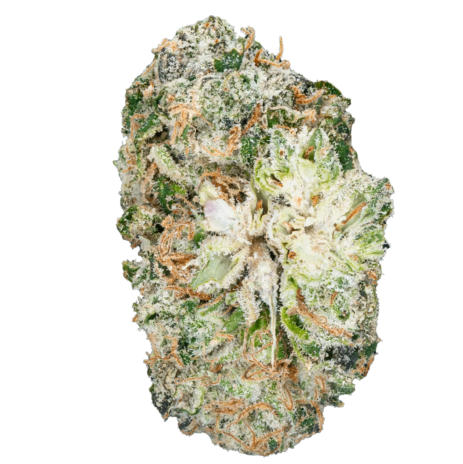 Berto – Top Shelf Flower