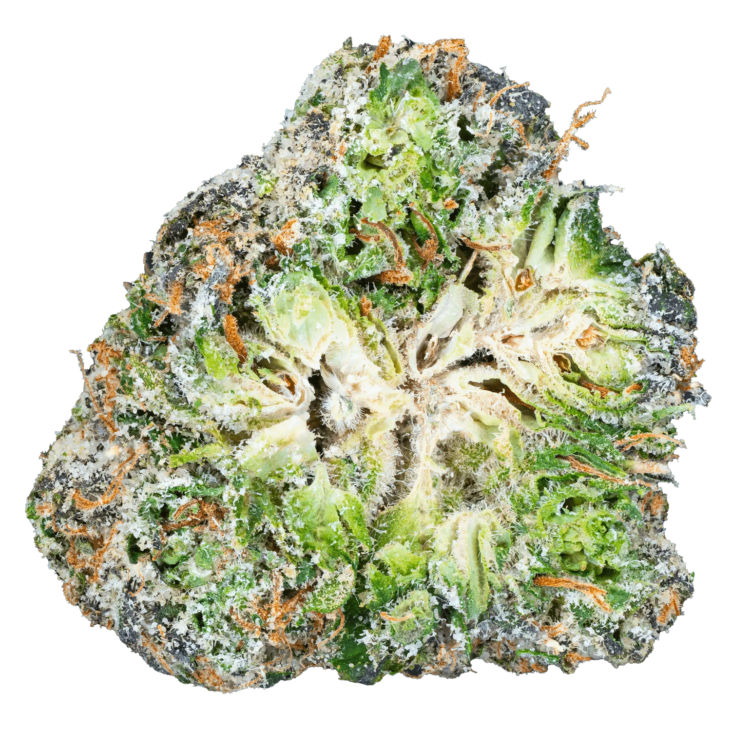 Family & Friends – Top Shelf Flower