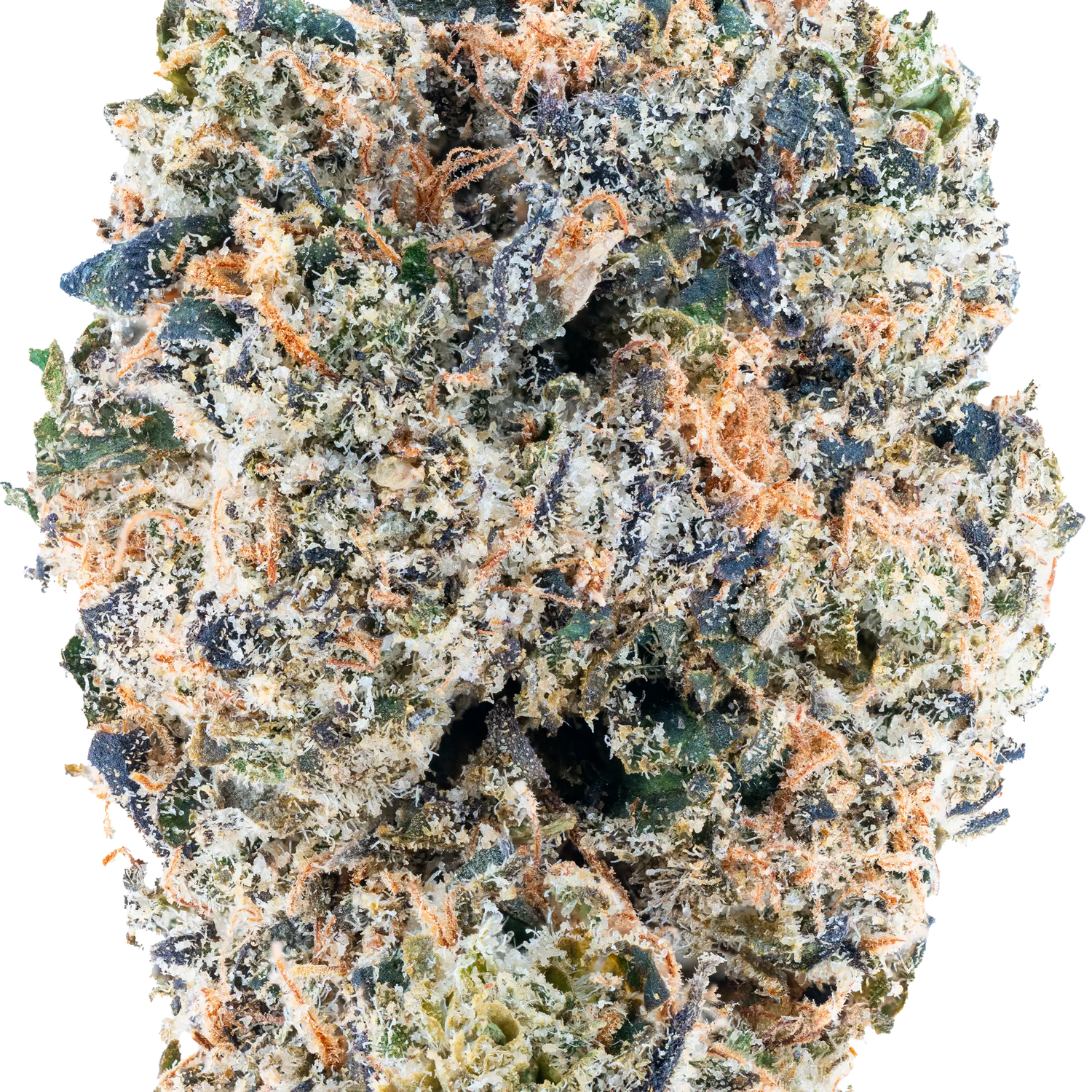 Headband – Top Shelf Flower