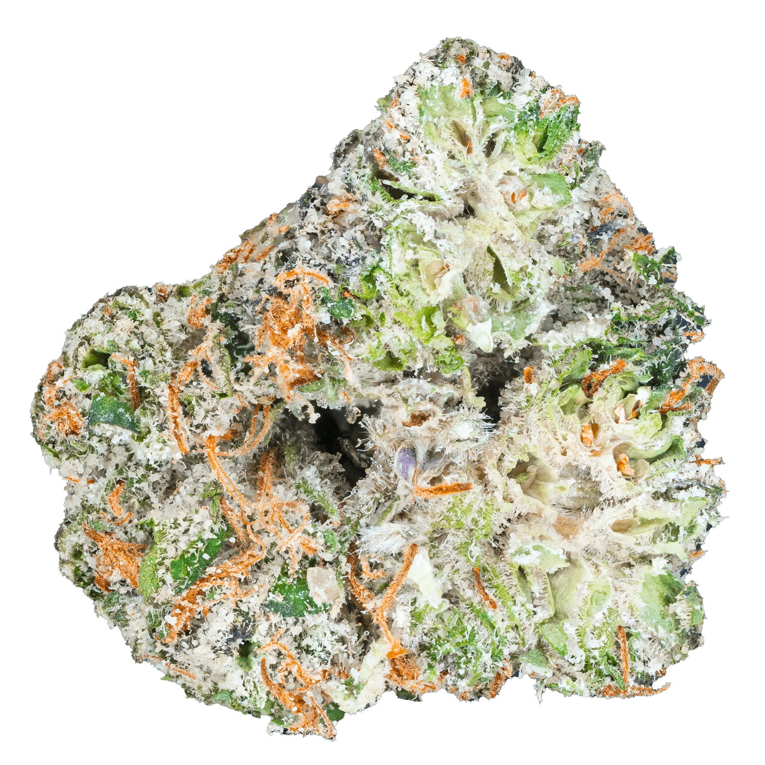 Pookie – Top Shelf Flower
