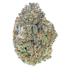 Bulk Discount Indoor Flower Bay Smokes