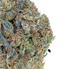 Bulk Discount Indoor Flower Bay Smokes