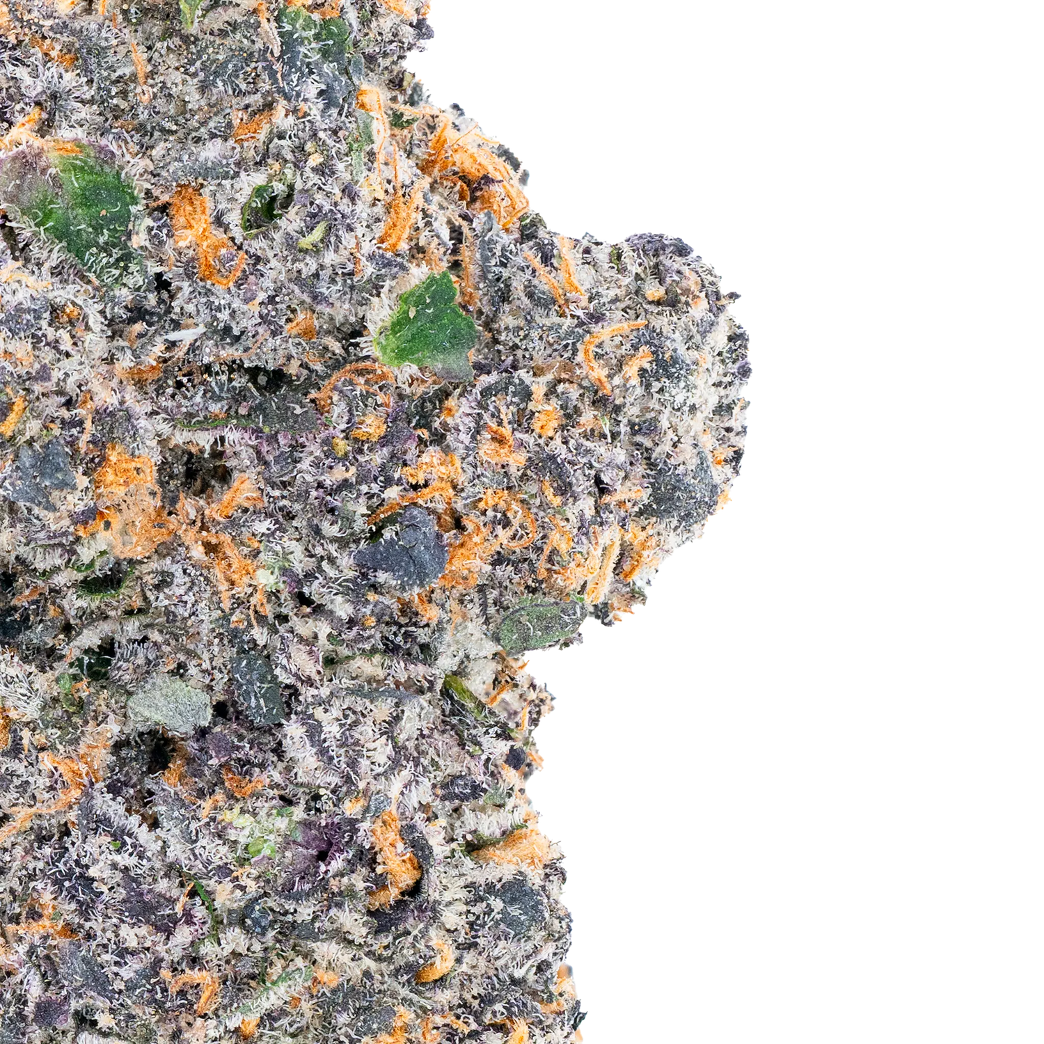 Talk To Me – Top Shelf Flower