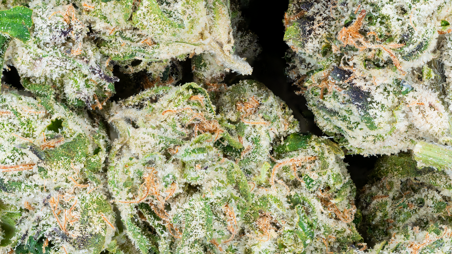 Super Exotic Smalls - Top Shelf Flower