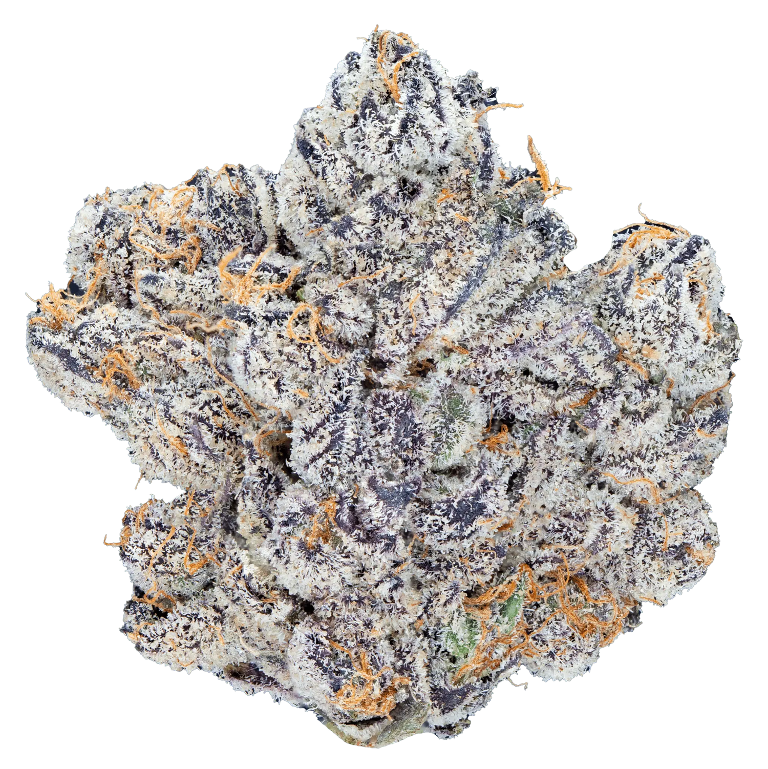 K Pop – Top Shelf Flower