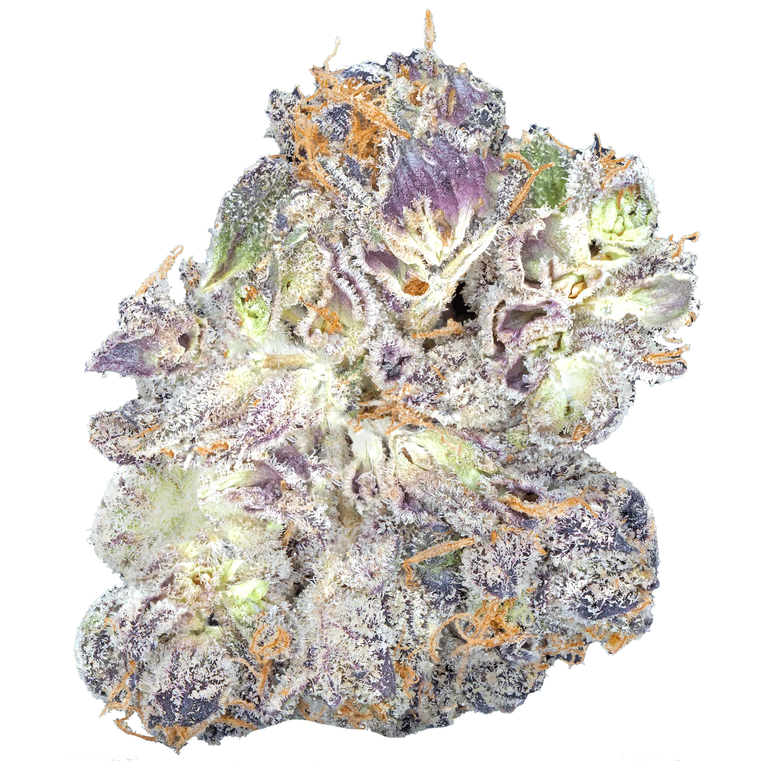 K Pop – Top Shelf Flower