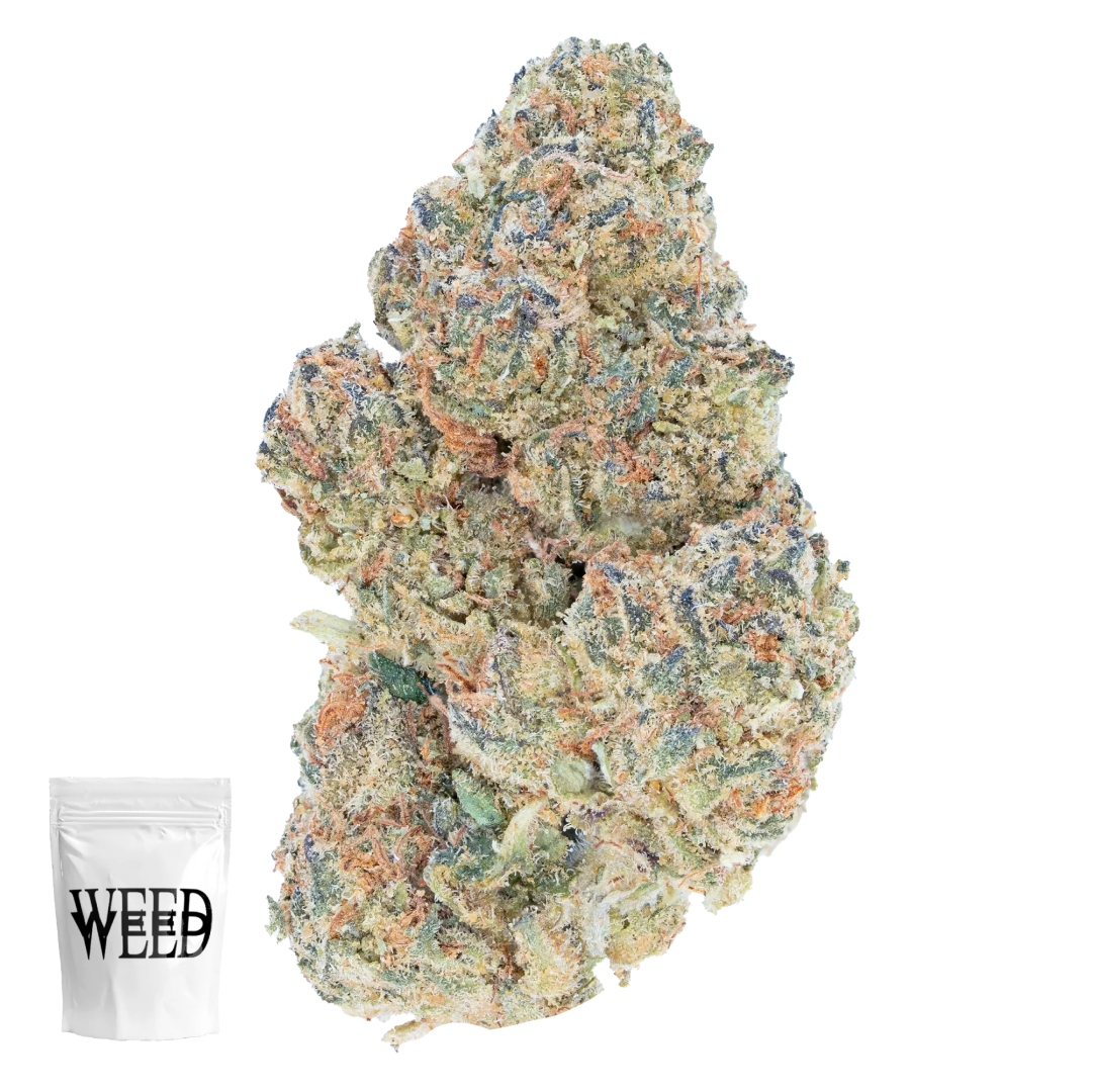 Indoor Flower