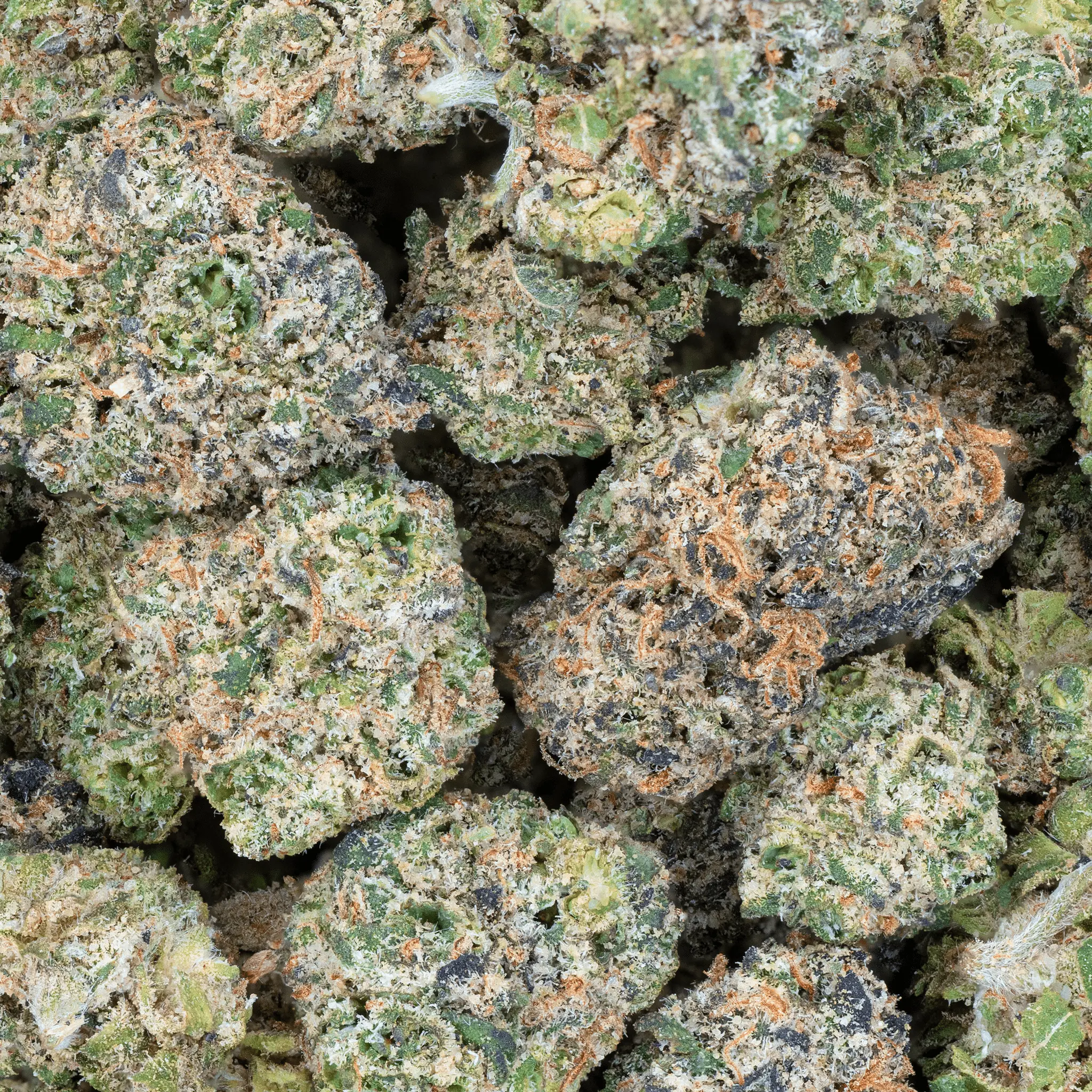 Thca Flower