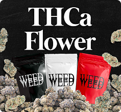 Thca Flower